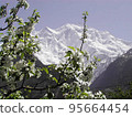 Pakistan Karakorum Mountains 95664454