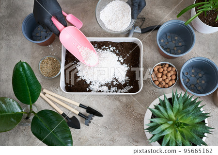 preparation of soil substrate for planting houseplant into a pot preparation of soil substrate for planting houseplant into a pot 95665162