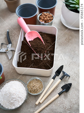 preparation of soil substrate for planting houseplant into a pot 95665174