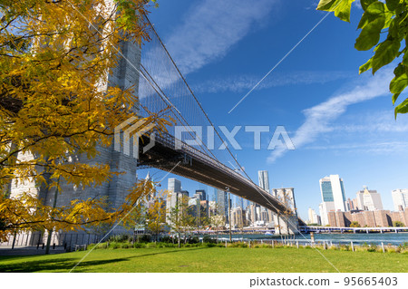 New York City skyline 95665403
