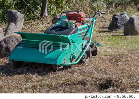 mowing the lawn 95665603