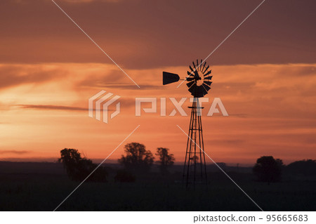 Pampas sunset landscape, La pampa, Argentina 95665683