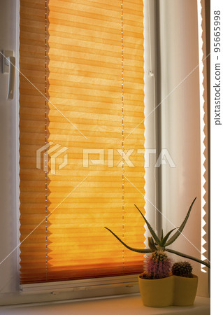Pleated blinds with orange folded fabric on the window close up. On the windowsill stands home plant in yellow flower pot. Cordless bottom up top down pleated shade with white lower bar. Pleated blinds with orange folded fabric on the window close up. On the windowsill stands home plant in yellow flower pot. Cordless bottom up top down pleated shade with white lower bar. 95665998