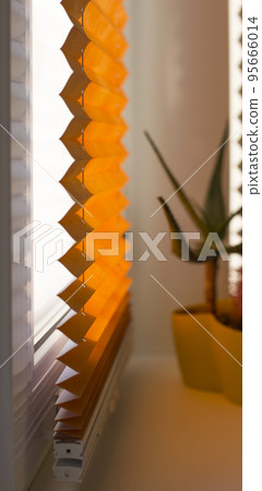 Pleated blinds with orange folded fabric on the window close up. On the windowsill stands home plant in yellow flower pot. Cordless bottom up top down pleated shade with white lower bar. Pleated blinds with orange folded fabric on the window close up. On the windowsill stands home plant in yellow flower pot. Cordless bottom up top down pleated shade with white lower bar. 95666014
