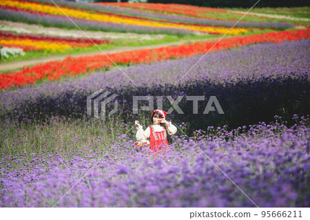 A woman in a Red Riding Hood costume standing in a field of colorful flowers 95666211