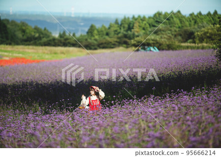A woman in a Red Riding Hood costume standing in a field of colorful flowers 95666214