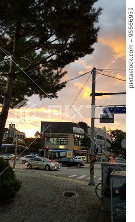 Gangwon-do, Samcheok City, Chuam Beach, Wildflowers, Chotdaebawi Rock, Squid, Fishing Village Gangwon-do, Samcheok City, Chuam Beach, Wildflowers, Chotdaebawi Rock, Squid, Fishing Village 95666931