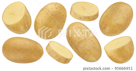 Potato isolated on white background with clipping path 95666951