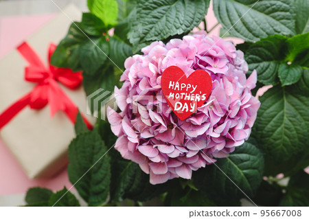 blooming pink hydrangea with red wooden heart and happy mother's day lettering blooming pink hydrangea with red wooden heart and happy mother's day lettering 95667008