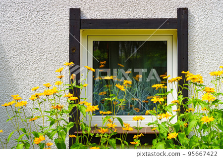 Flowers in garden. 95667422