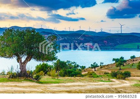 Andalucia with wind turbines on hill, Spain Andalucia with wind turbines on hill, Spain 95668328