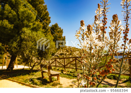 Rest area in mountains, Spain 95668394
