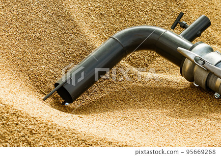 Pile of grain seeds and machine tube Pile of grain seeds and machine tube 95669268