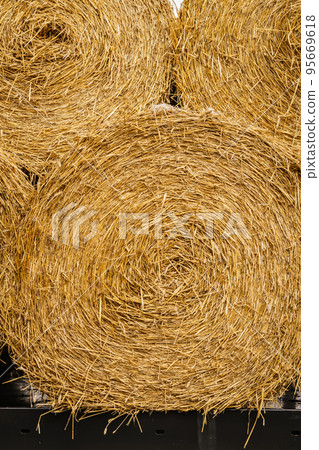 Bale of hay outdoors 95669618