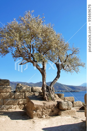 Lake castle with ancient fortifications in Kapikiri village on Bafa lake in Mugla, Turkey Lake castle with ancient fortifications in Kapikiri village on Bafa lake in Mugla, Turkey 95669676