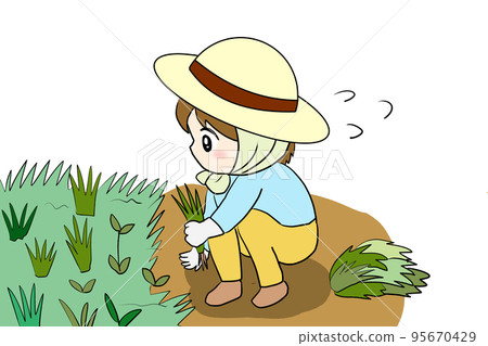 Women weeding 95670429