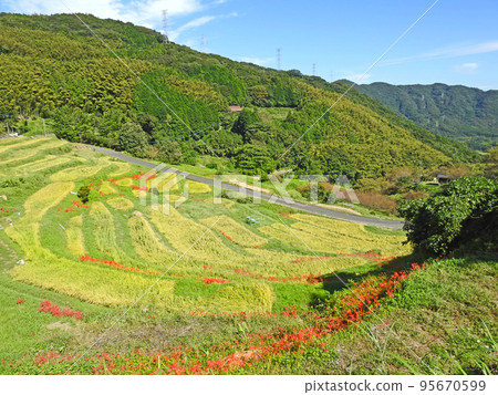 福岡縣十佳鄉村景觀之一的十日寺的田田田 95670599