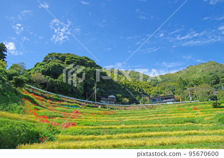 福岡縣十佳鄉村景觀之一的十日寺的田田田 福岡縣十佳鄉村景觀之一的十日寺的田田田 95670600