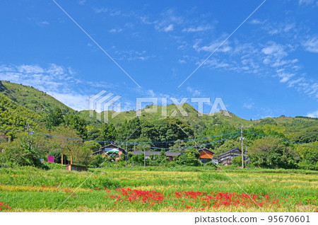 福岡縣十佳鄉村景觀之一的十日寺的田田田 福岡縣十佳鄉村景觀之一的十日寺的田田田 95670601