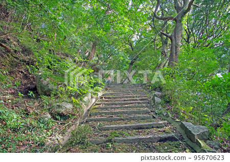 A person walks along the approach to Shirayama Taga Shrine at Satoyama Tokakuji Temple in Kanda Town, Fukuoka Prefecture. 95670623