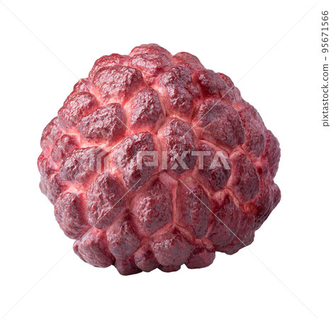Red Sugar Apple or Custard Apple isolated on white background. 95671566