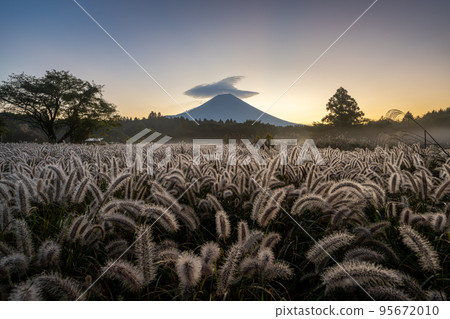 Power Shiba and Mt.Fuji Dawn 95672010