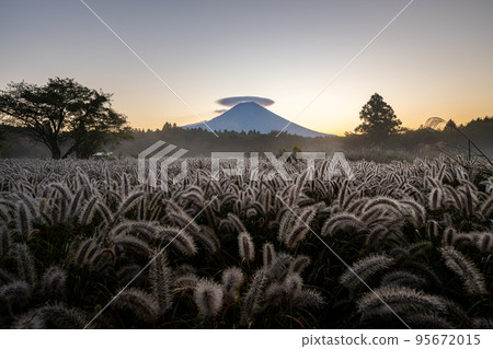 Power Shiba and Mt.Fuji Dawn 95672015