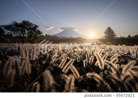 Power Shiba and Mt.Fuji Dawn 95672021
