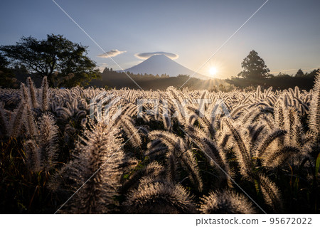 Power Shiba and Mt.Fuji Dawn 95672022