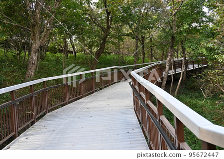 Ryokuchi Park Park and Boardwalk Ryokuchi Park Park and Boardwalk 95672447