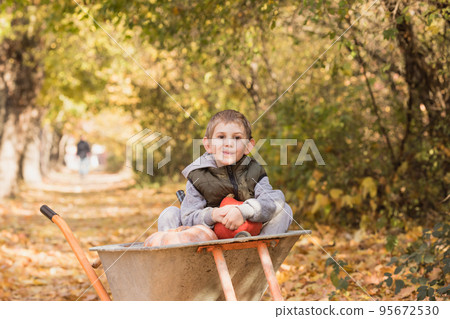 Boy has fun in the wheelbarrow with pumpkins Boy has fun in the wheelbarrow with pumpkins 95672530
