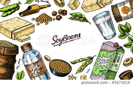 Soya beans. Milk and tofu. Soybean sketch. Pod on plant. Nuts and seeds in sack. Detailed vegetarian 95673019