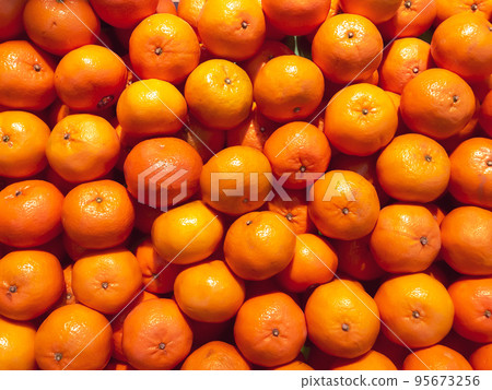 Healthy fruits, orange fruits background, many oranges with leaf freshly picked during the harvest in the Thailand Healthy fruits, orange fruits background, many oranges with leaf freshly picked during the harvest in the Thailand 95673256