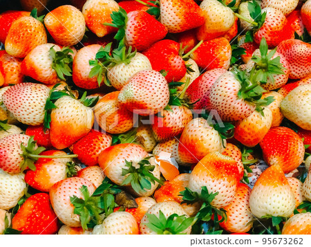 Strawberry on background, Strawberry Fresh in the market, fruit in winter that tastes sweet and sour. Strawberry on background, Strawberry Fresh in the market, fruit in winter that tastes sweet and sour. 95673262