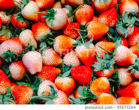 Strawberry on background, Strawberry Fresh in the market, fruit in winter that tastes sweet and sour. Strawberry on background, Strawberry Fresh in the market, fruit in winter that tastes sweet and sour. 95673264