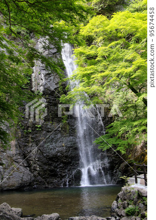 Waterfall of Minoo Waterfall of Minoo 95674458