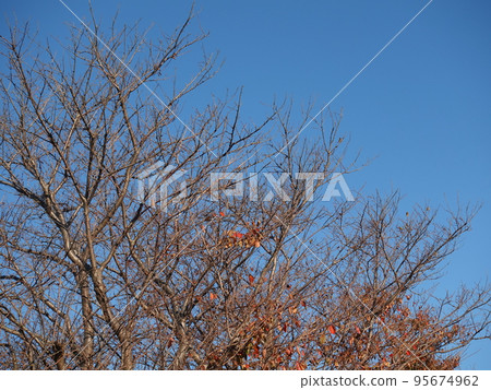 winter image 95674962