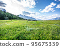 Panorama mountain and green grass field at Trans Canada Trail, Canmore Alberta. High Quality Photo 95675339