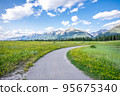 Trans Canada Trail Hike Paved Pathway in Rocky Mountains, Canmore, Alberta. High quality photo 95675340