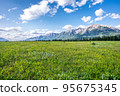 Panorama mountain and green grass field at Trans Canada Trail, Canmore Alberta. High Quality Photo 95675345