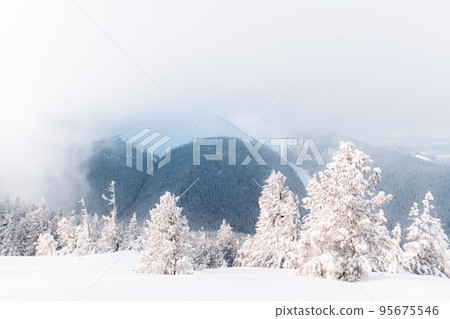 Fantastic winter landscape Fantastic winter landscape 95675546