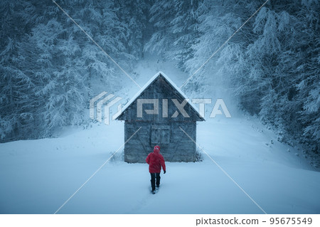 Minimalistic winter landscape with wooden house 95675549