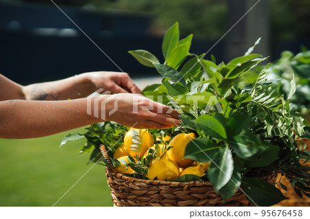 A woman is preparing decorations for a wedding. Close view A woman is preparing decorations for a wedding. Close view 95676458