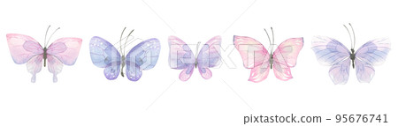 A set of delicate, purple butterflies. Watercolor illustration. For the design, decoration and compilation of various compositions of postcards, posters, frames, boards, invitations, booklets. A set of delicate, purple butterflies. Watercolor illustration. For the design, decoration and compilation of various compositions of postcards, posters, frames, boards, invitations, booklets. 95676741