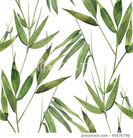Bamboo leaves and twigs on a white background. Watercolor illustration. Seamless pattern. For fabric, textiles, wallpaper, covers, prints, packaging, paper, scrapbooking, clothing, bed linen. Bamboo leaves and twigs on a white background. Watercolor illustration. Seamless pattern. For fabric, textiles, wallpaper, covers, prints, packaging, paper, scrapbooking, clothing, bed linen. 95676796
