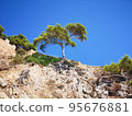 Panoramic photo of a rocky mountain with greenery and a tree against a clear, blue sky. Southern landscape of the Spanish coast of the Costa Brava, the Mediterranean Sea. 95676881