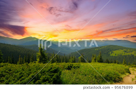Beautiful sunset in the mountains of the Carpathians (Ukraine) in the summer. 95676899
