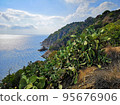 Panoramic photo of the sea, mountain coast with cacti and greenery, on a sunny day. The concept of nature, tourism, hiking, recreation, sea holidays and vacations. 95676906