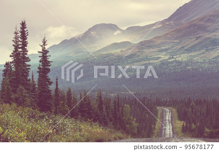 Road on Alaska Road on Alaska 95678177