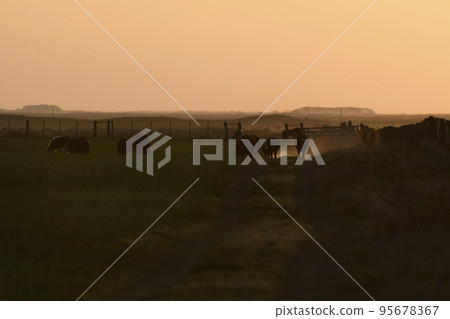 Pampas sunset landscape, La pampa, Argentina 95678367